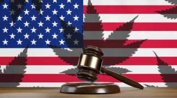 Is Marijuana Possession Still Illegal in Florida?
